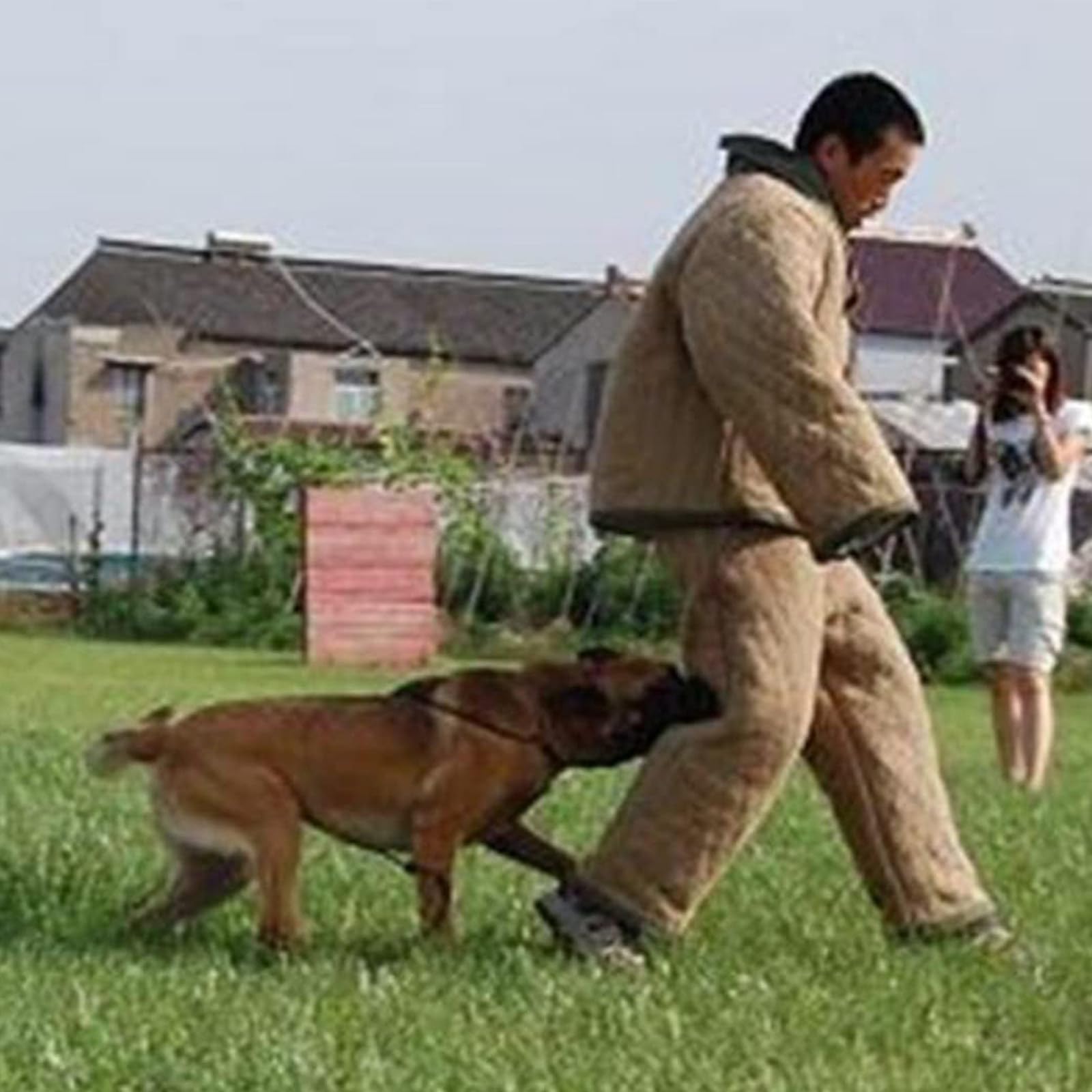 Ropa de adiestramiento para Perros, Ropa Protectora para adiestramiento de Perros, Ropa antimordeduras para adiestramiento de Perros, Chaqueta de Ropa para Perros de policía (Camo)