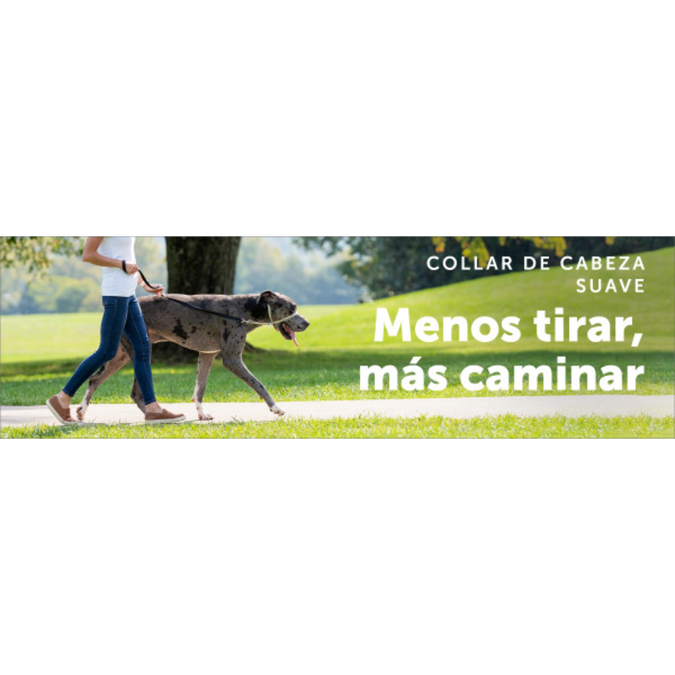 PetSafe Easy Walk – Bozal para Perros, Collar de Cabeza Antitirones para Perros, Ajustable, Acolchado, con Correa De Paseo Incluida, Negro, M
