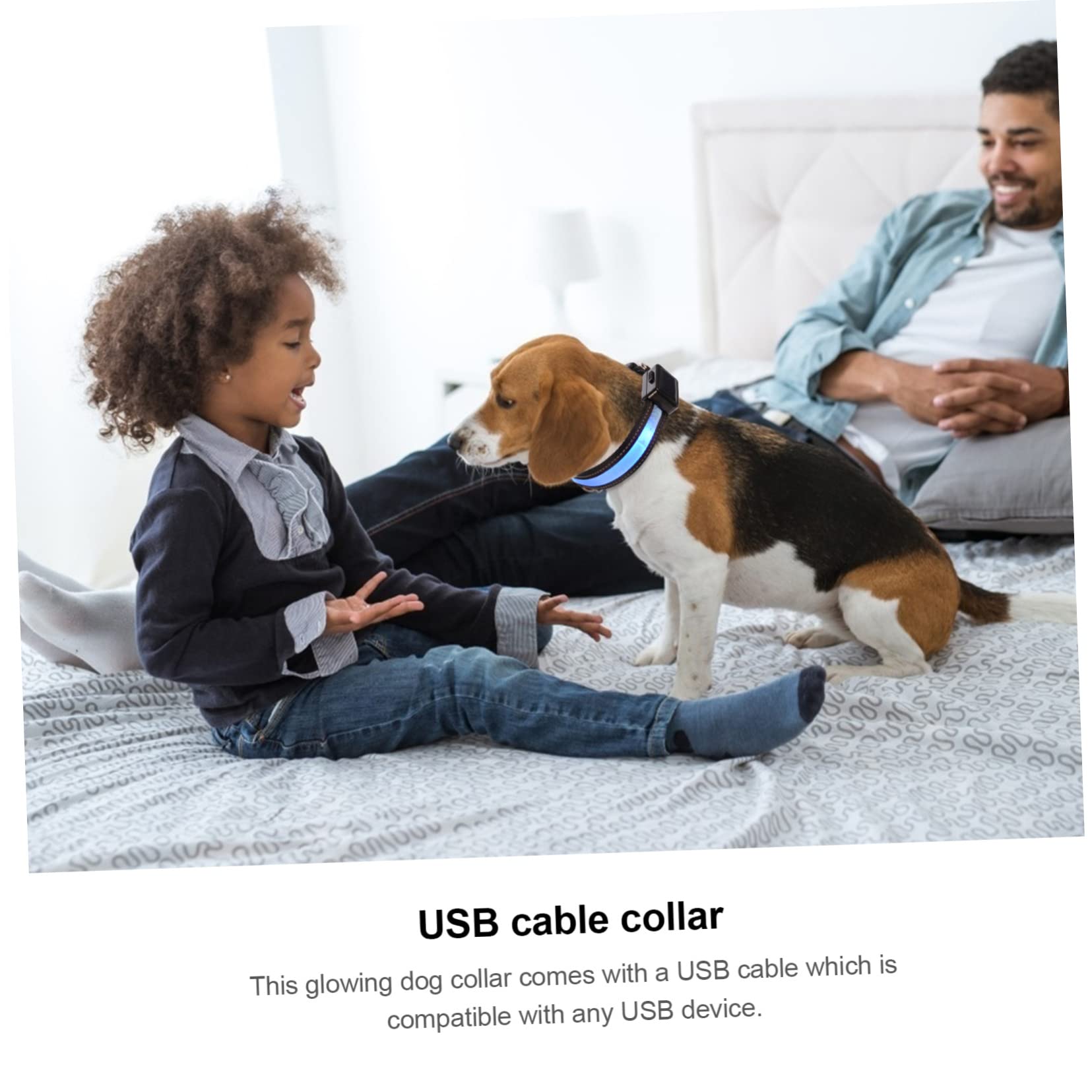 Housoutil Lot De 3 Colliers Lumineux À LED pour Chien Et Chiot avec Recharge Solaire Et Sécurité Nocturne