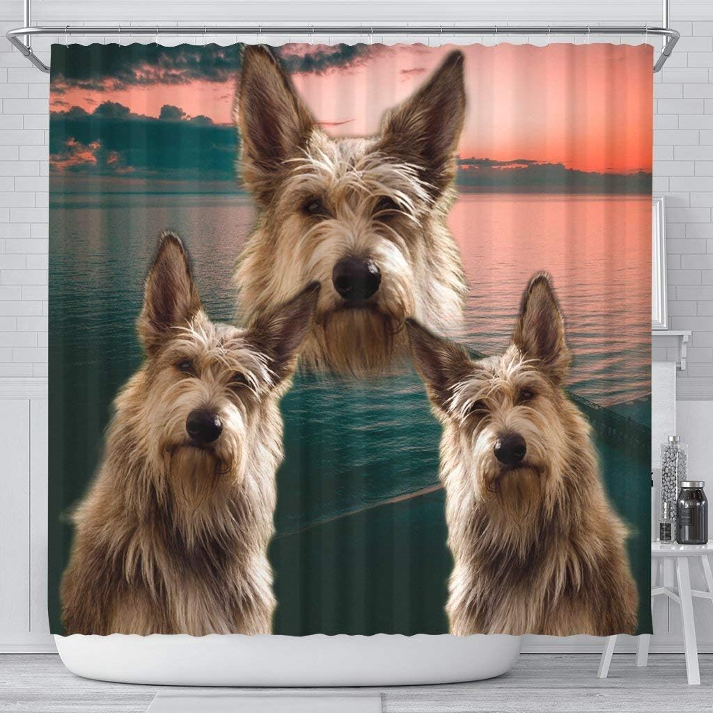 Berger Picard Print Shower Curtans