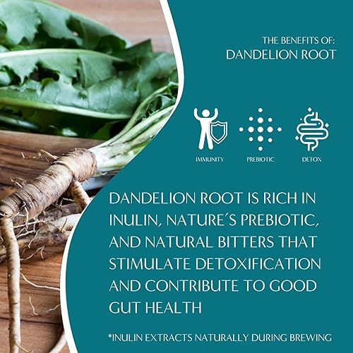 Miniatura 5 de Teeccino Alternativa al café de achicoria con ponche de huevo, bebida favorita de postre navideño que es prebiótica, sin cafeína y sin ácidos,