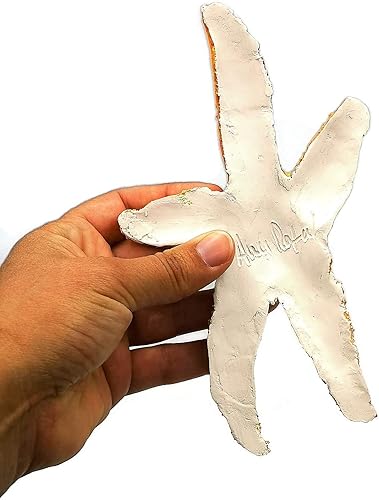 Miniatura 7 de 1Pc Handmade Ceramic Starfish Tile, Coastal Wall Decor For Home, Swimingpool Aquarium or Fish Tank, Beach Lover Gift for Women (17cm6.7in Long,