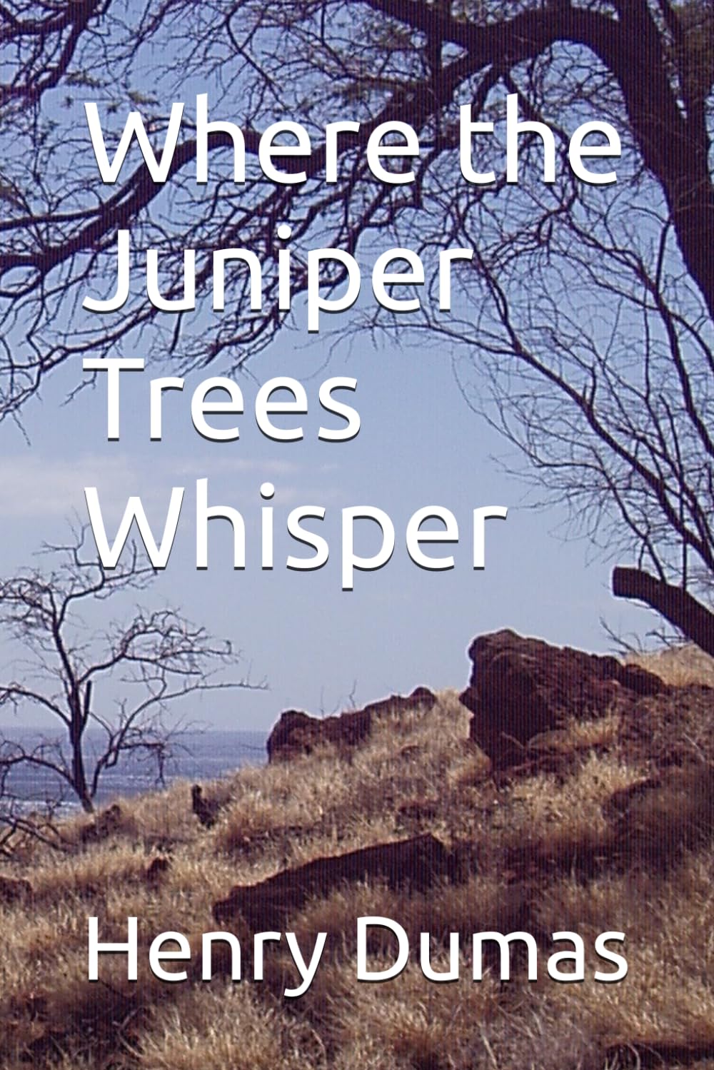 Where the Juniper Trees Whisper