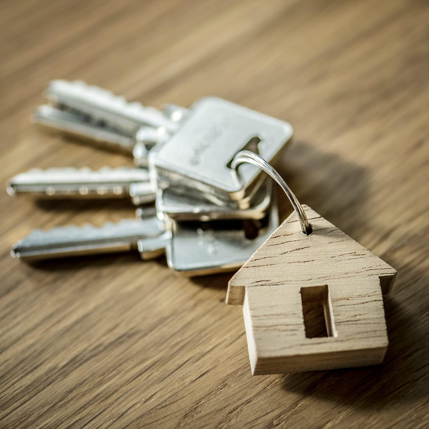 Versa-Tags 3/4 Steel Key - Bulk Key Rings for Crafts, Auto Dealership & Cars - .75 Inch Split Keyring for Crafts