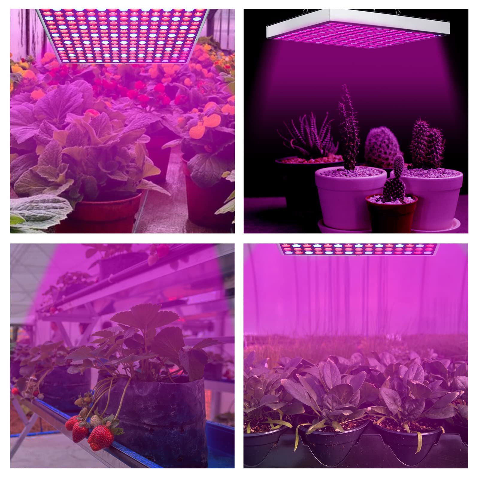 Herrselsam 4x15W Pflanzenlampe LED, LED Grow Light Pflanzenlicht Vollspektrum mit 225 Rot & Blau LEDs Grow Lampe, Pflanzen Wachstum Zimmerpflanzen Gemüse und Blumen im Garten