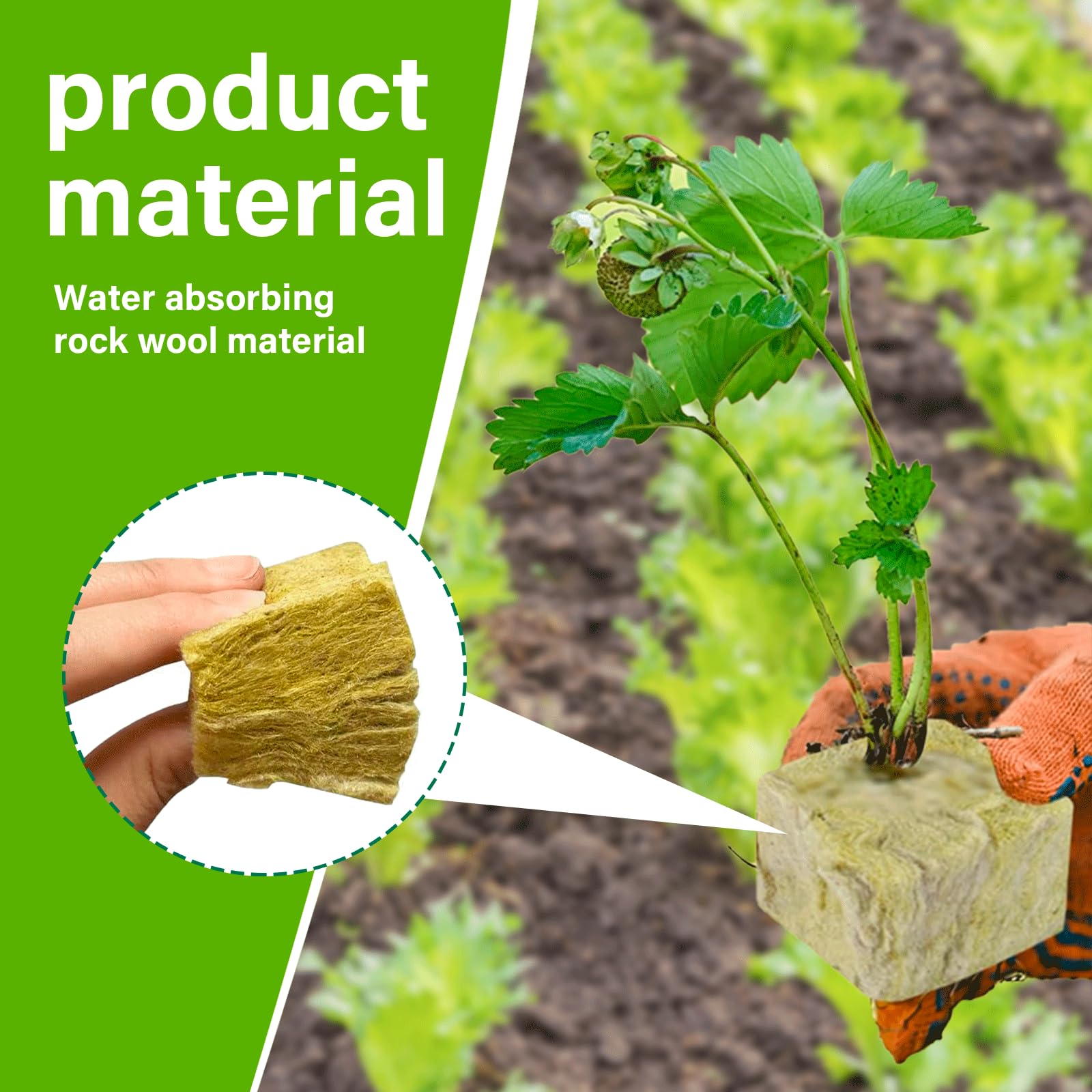 Rockwool Cube, 100 stuks, vloerloze kweekkubus, 2,5 x 2,5 x 2,5 cm
