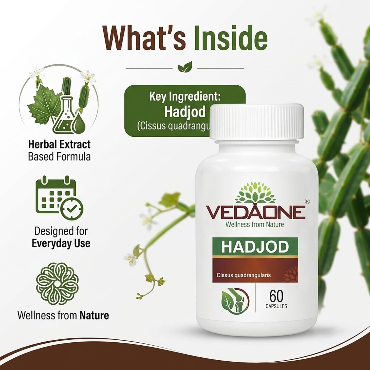 Vedaone Hadjod 450mg - 60 Capsule 3