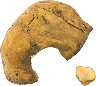 HEALEEP Esconderijo De Répteis Decoração Tartaruga Casa Escondida Esconderijo Criativo Acessórios De Tanque De Tartaruga Peles E Cavernas De Répteis Plataforma De Frade Tartaruga Ninho De