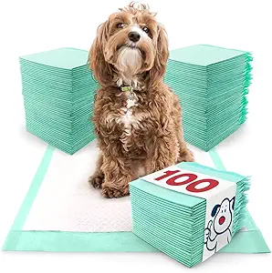 ValuePad Plus Puppy Pads, Medium 23x24 Inch, 100 Count - Pee Pads for Dogs, Tear Resistant, Super Absorbent Polymer Gel Core, 5-Layer Design