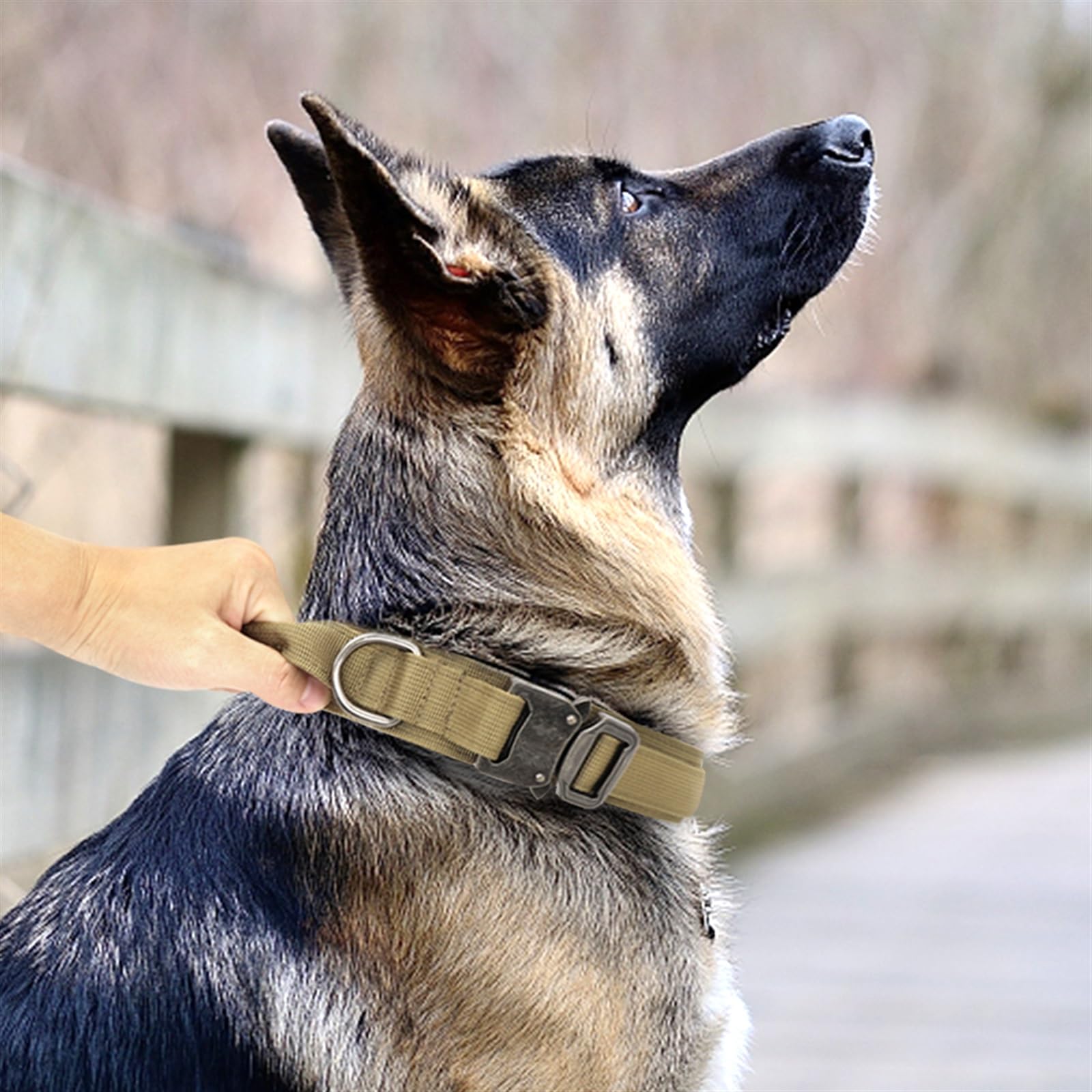 Correas Extensibles Collar táctico Militar para Perro, Correa elástica elástica, Collar de Nailon para Mascotas, Perros Grandes Correa de Perro(Black Set,M)