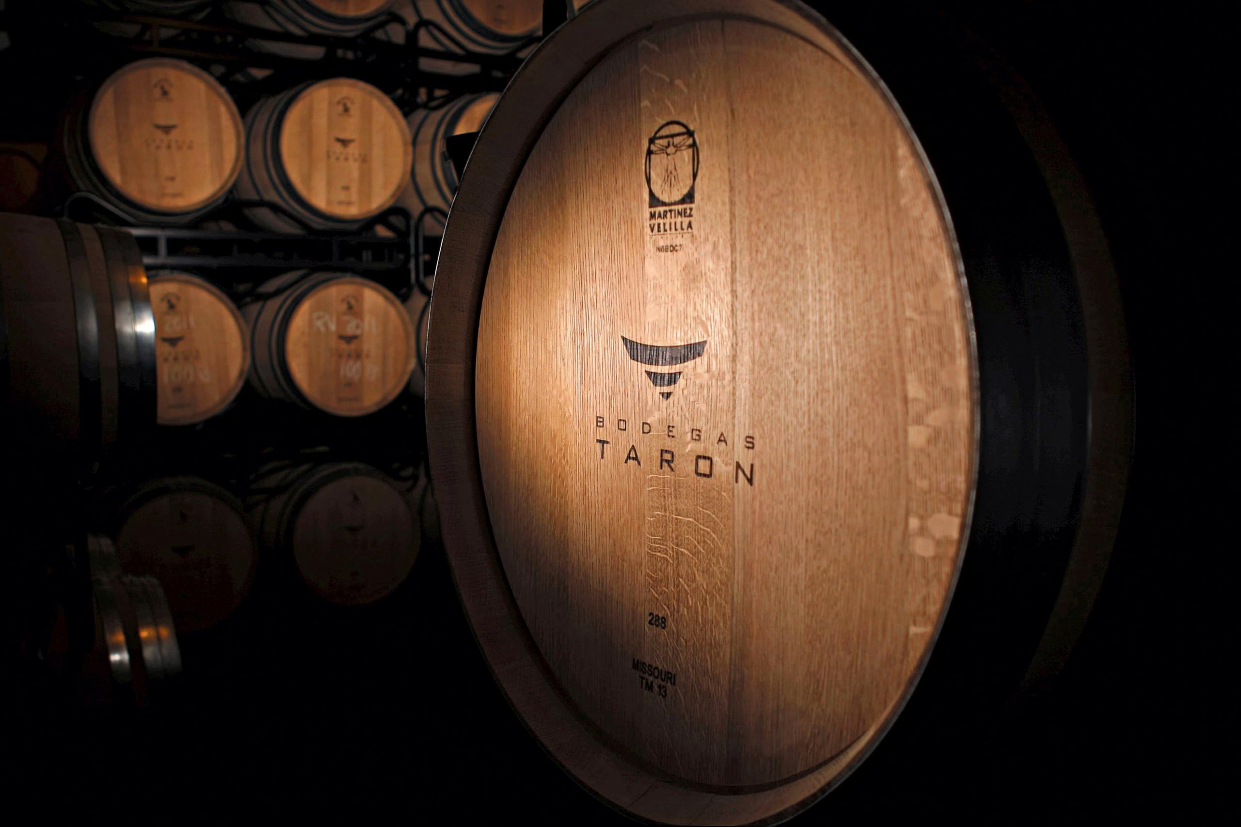 Bodegas Taron Tempranillo Rioja Rotwein trocken (1 x 0.75 l) (Packung mit 6)