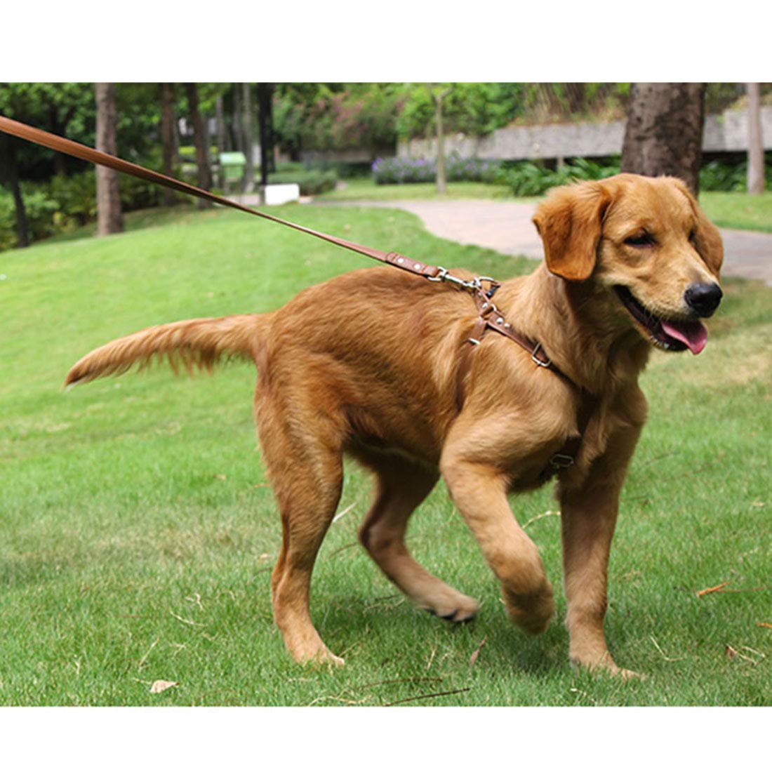 feiling Dog Harness Anti Pull Soft Leather Harness Adjustable Chest Harness Norwegian Escape Proof Pet Harness Soft for Small Medium Large Dogs (S - Image 4