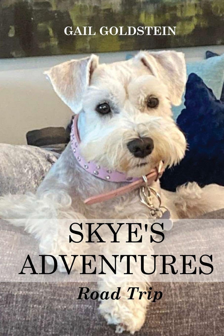 Skye's Adventures: Road Trip
