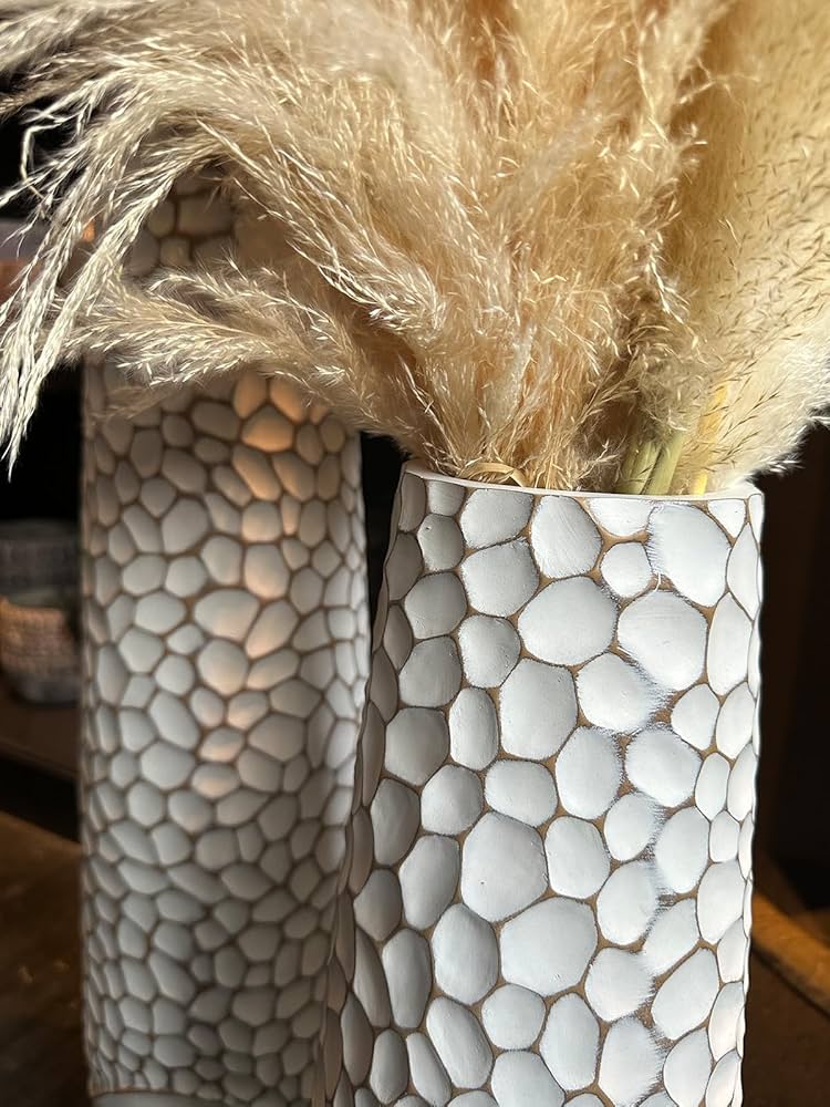 ののん　24cm 楽天市場】【送料無料】[高品質]ライブディオZX/DioZX後期型