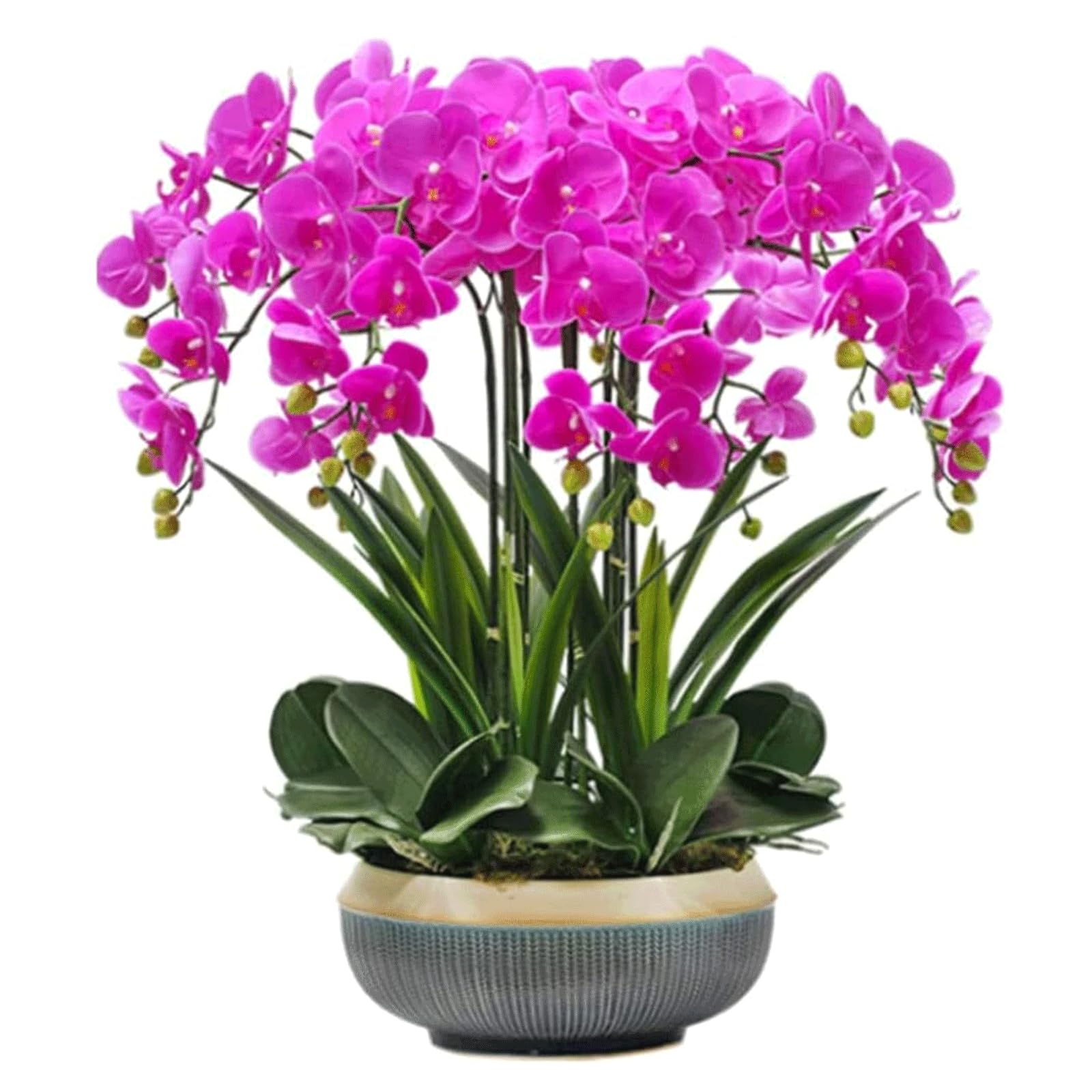 DFGHNBVC Artificial Orchid Artificial Flower 68Cm Artificial Phalaenopsis Flowers With Porcelain Vase Set Faux Orchids Polyurethane Potted Fake Floral Very Natural.Purple