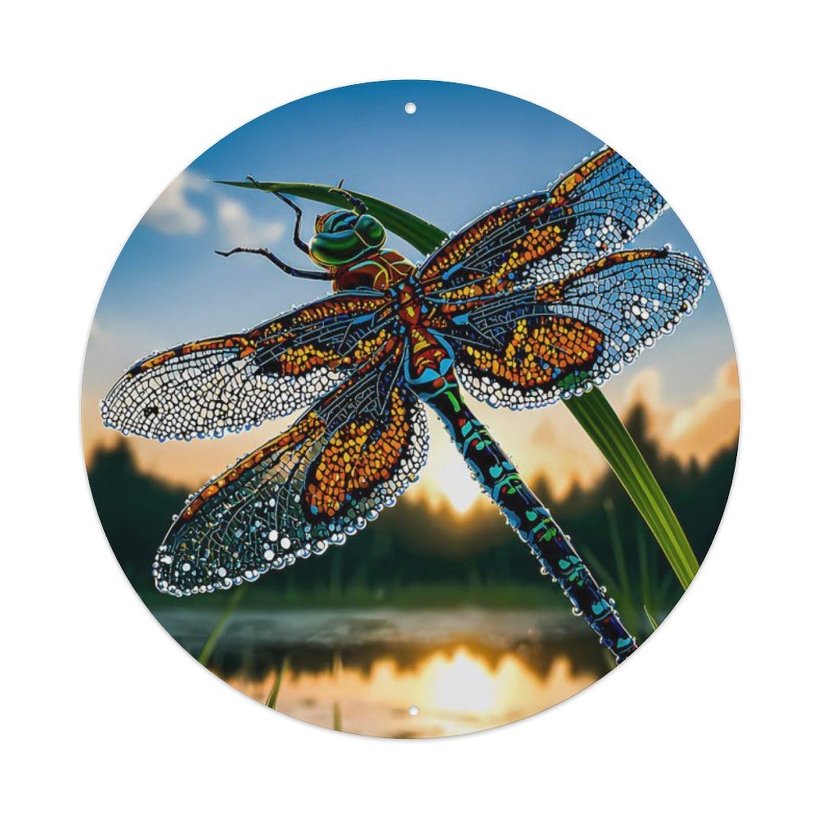 Animal Dragonfly Wetland Sunrise Nature Landscape Vintage Metal Tin Sign Plaque Wall Decor for Cafe, Club Bar, Office, Garden Metal Poster 8x8Inch