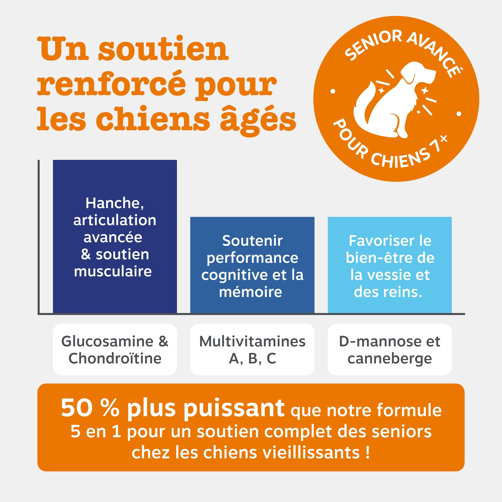 Zesty Paws Bouchées Multifonctions 9-en-1 Chien Senior | Articulations, Yeux, Cerveau, Cœur et Immunité | Vitamines A, B3, B5, C, Acide Folique, Biotine | Usage Quotidien | 90 Bouchées