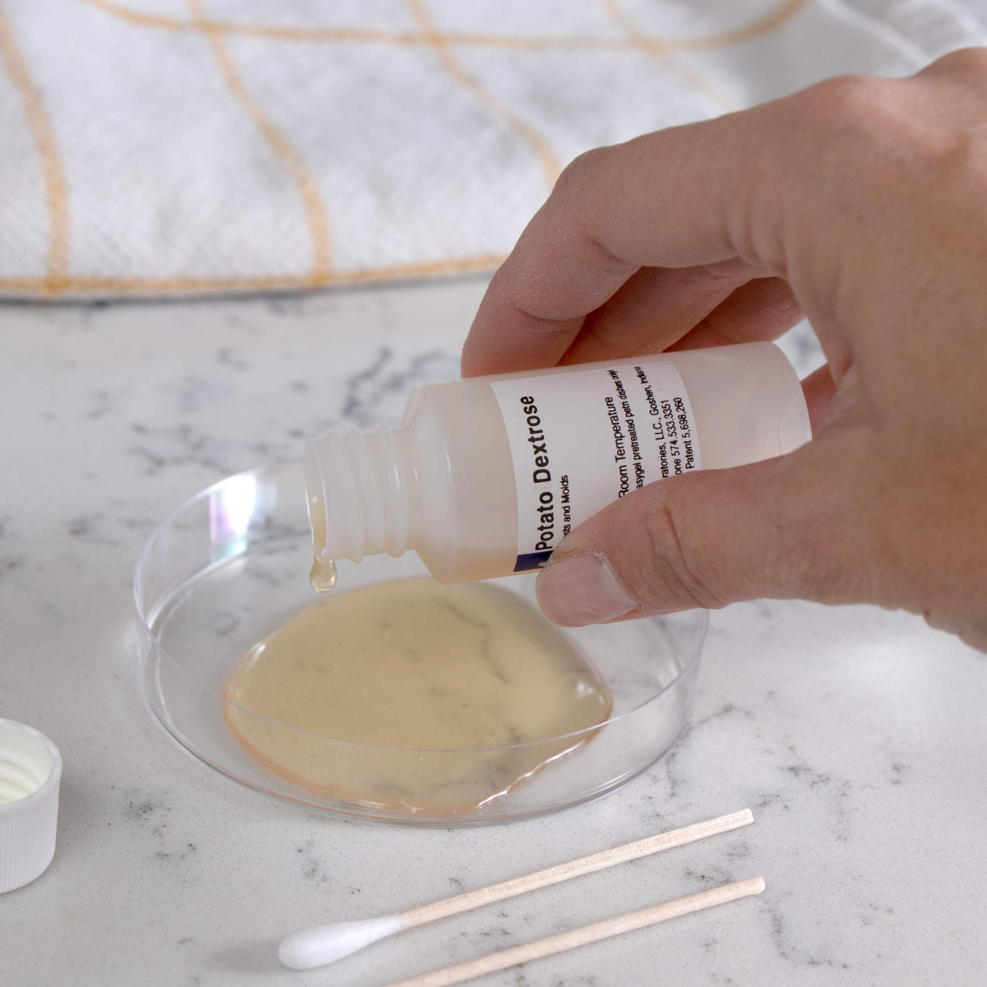 Mold Armor FG500 Do It Yourself Mold Test Kit Safe and Easy to Use