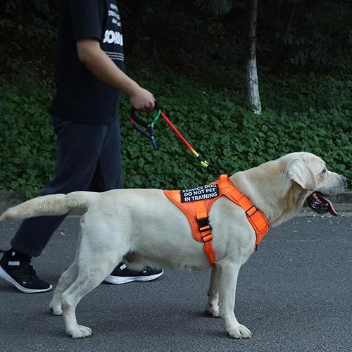 Miniatura 6 de PawistaPal Paquete de 6 parches para perros de servicio, parche de entrenamiento para perros y no mascotas con gancho trasero, parche impreso UV de