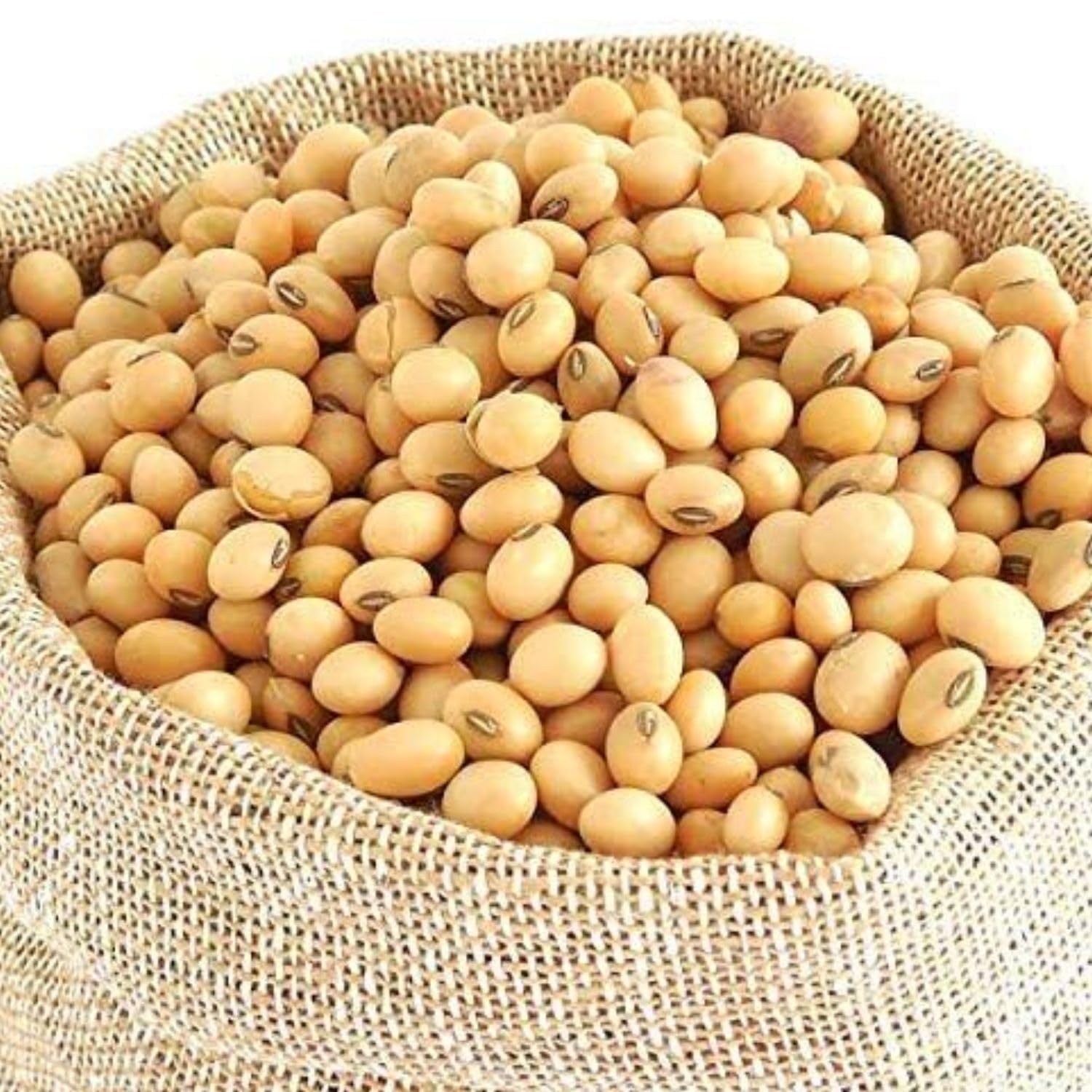 Soja Amarilla Italiana 5Kg Orgánica