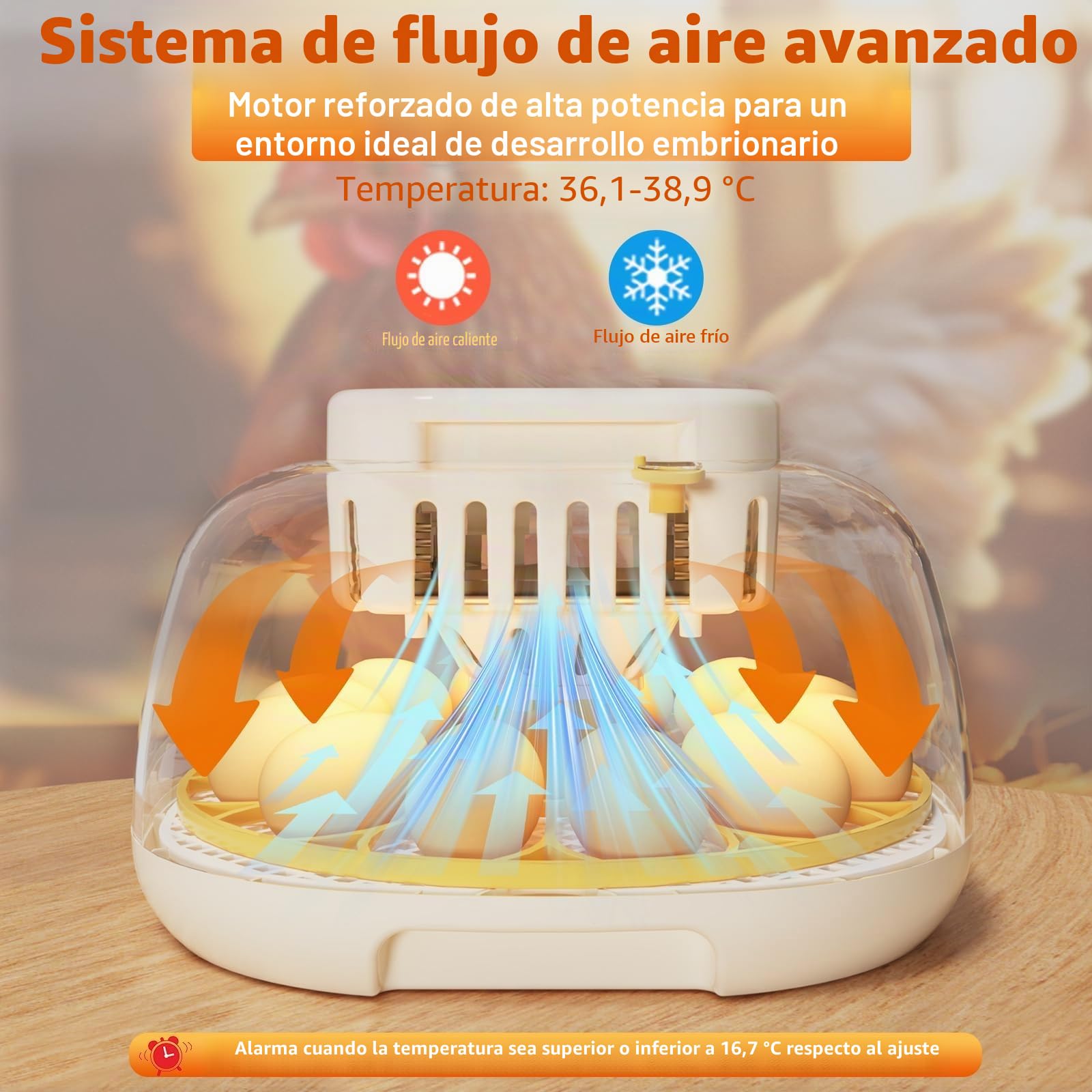 Incubadora de 12 huevos totalmente automática, con rotación automática de huevos, control de temperatura y humedad, adecuado para pollos, patos, gansos, codornices