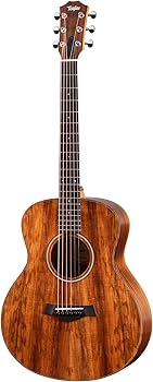 Taylor アコースティックギター Taylor Guitars（テイラー・ギターズ）のアコギ、どう選ぶ