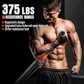 Resistance Bands with Handles, 375lb Exercise Bands for Working Out, Fitness Bands, Workout Bands with Door Anchor and Ankle Straps, Physical Therapy, Yoga, Strength Training Home Gym Equipment