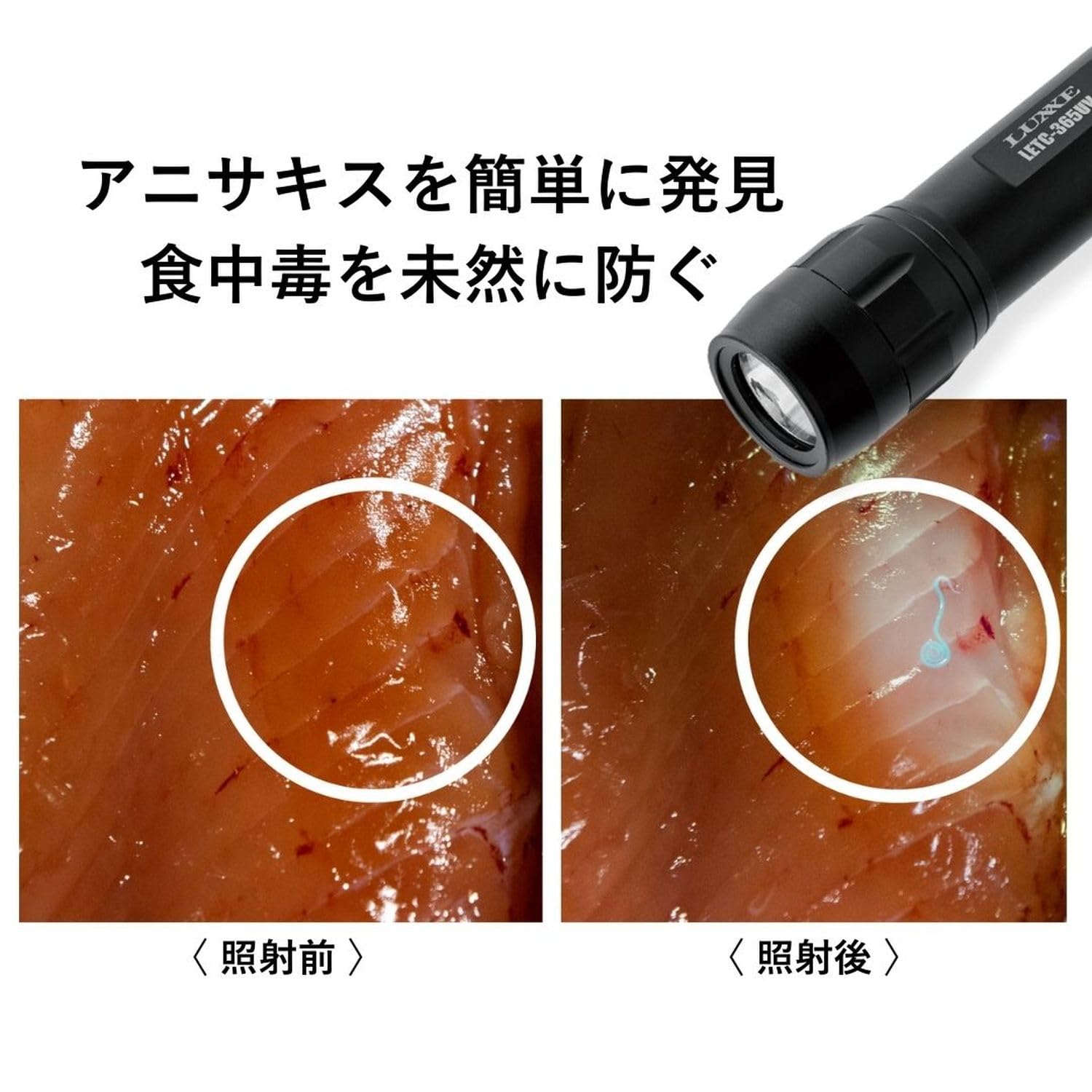 Amazon | がまかつ(Gamakatsu) ラグゼ 電池式ハンディライト LETC365UV