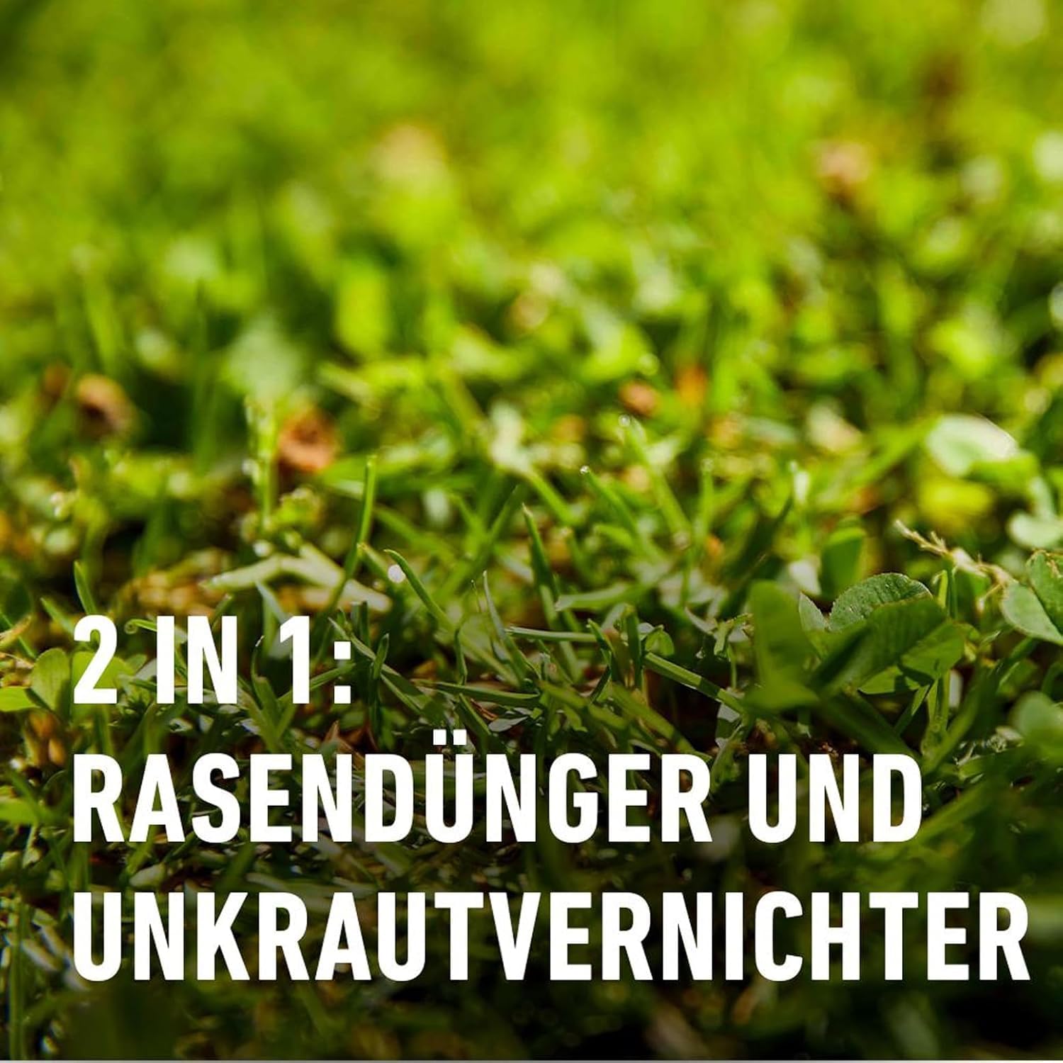 COMPO EXPERT Rasendünger mit Unkrautvernichter und Langzeitwirkung gegen Unkraut - Rasen Floranid® 15-5-8(+3) mit Unkrautvernichter | Gegen Unkraut - Rasen Floranid® 15-5-8(+3) mit Unkrautvernichter