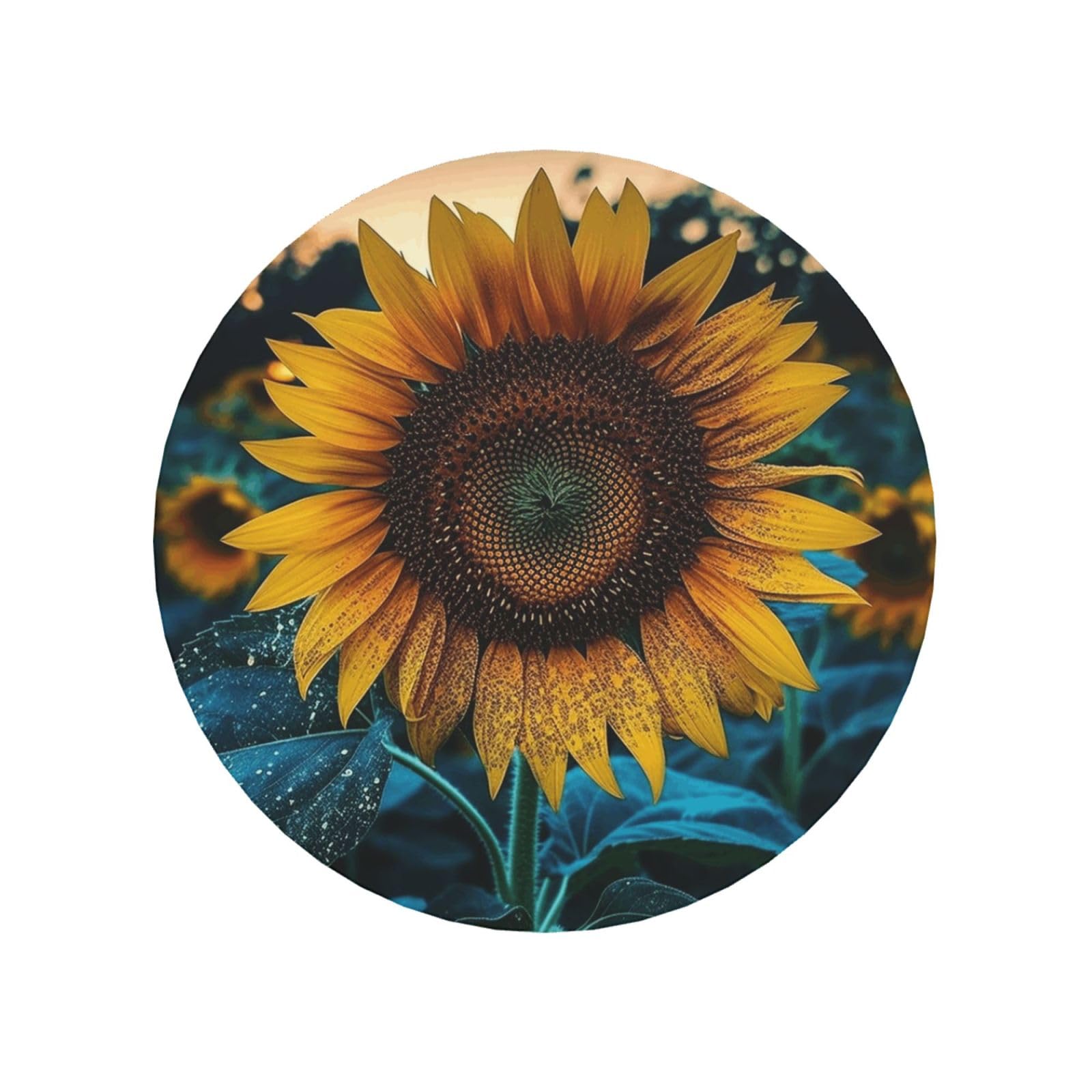 Fodpand Round Shape The Most Beautiful Sunflower Fridge Magnets, Strong Small Refrigerator Magnets Decorative Magnets For Kitchen Fridge Office Locker - Funny Magnetic Stickers Birthday Gifts