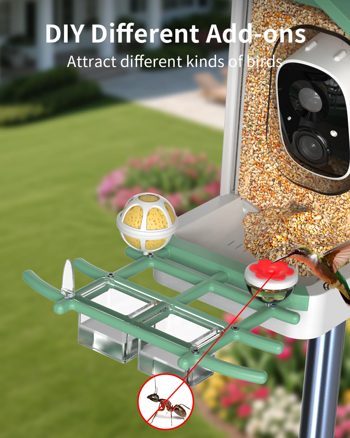 Comedero para pájaros con cámara, cámara inteligente 2K para pájaros con energía solar, identificación de especies de pájaros, notificaciones instantáneas, regalo ideal para familiares y amantes de