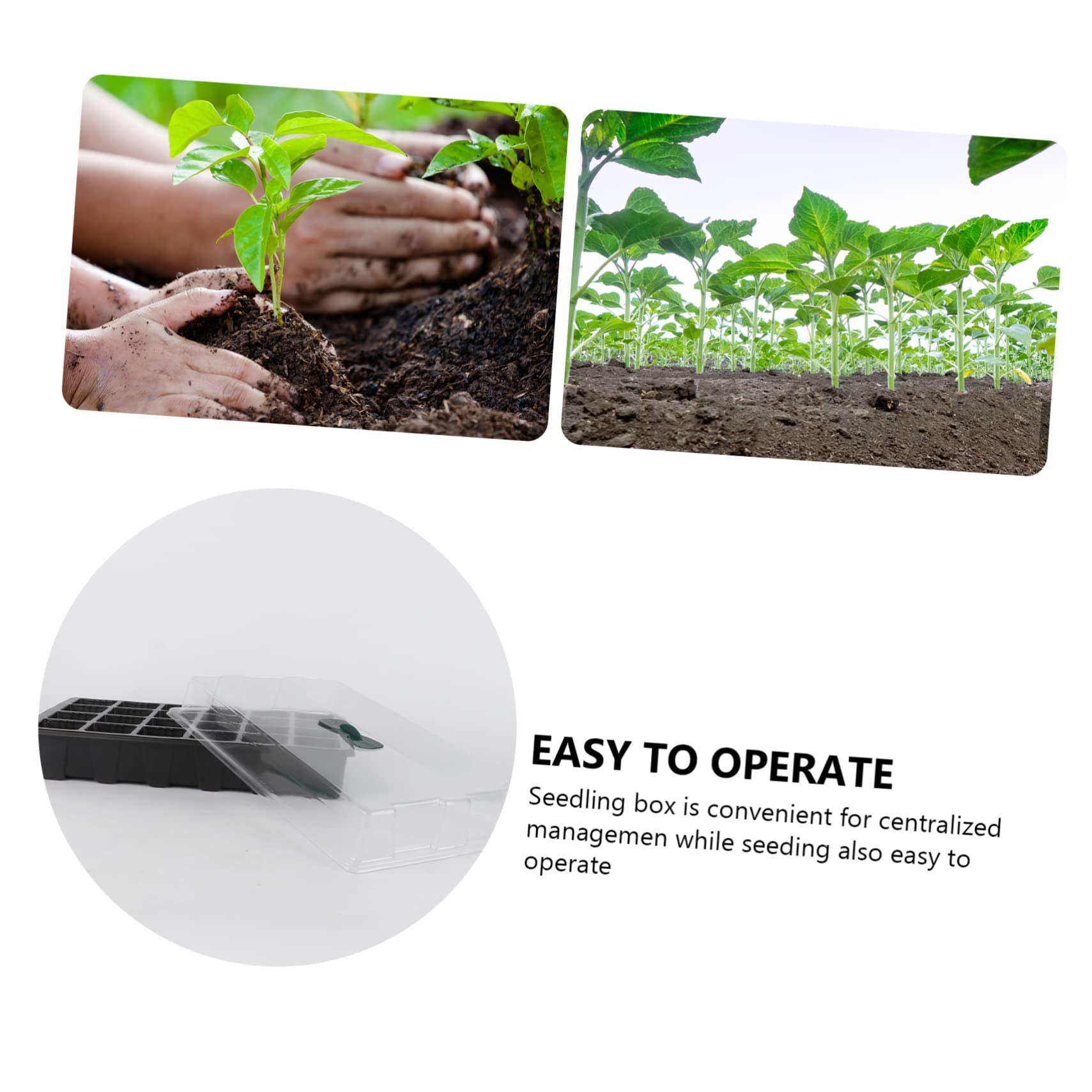 INOOMP 3piezas Bandejas de Germinación para Plantas Macetas de Vivero con Tapa Bandeja de Cultivo Hidropónico Negra para Semilleros