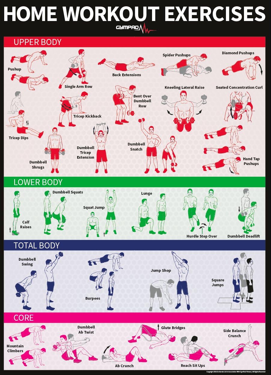 Dumbbell and Bodyweight Home Workout Exercise Poster - Build Muscle and Get Lean in the Comfort Of Your Own Home - 28 x 20 Premium Quality Wall Poster