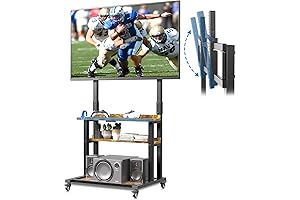 Entertainment Cart: Maximize Viewing, Storage, and Versatility