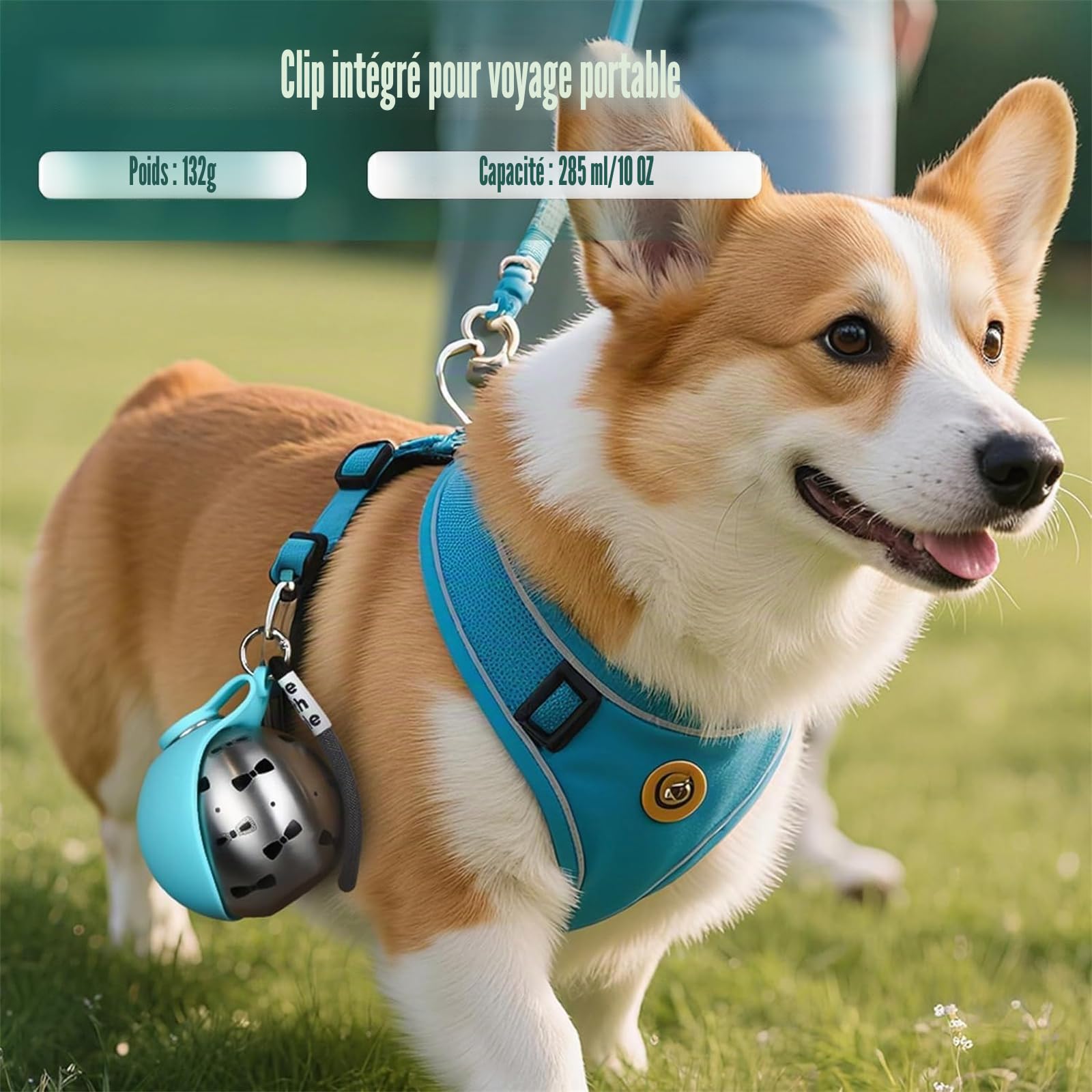 Gourde pour Chien pour Les déplacements, Bouteille d'eau Portable pour Animaux de Compagnie, en Acier Inoxydable,285ML Compacte pour Chiens et Chats,Gourde Anti-Fuite avec Gamelle Pliable en Silicone
