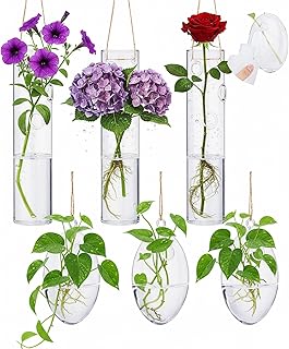 Zopeal 6 Sets Wandbehang Glas Pflanzgefäß Gewächshaus Terrarium Anzuchtstation Wand Vase Behälter Bewässerung Quetschflasche mit Seil und Haken für Hydrokulturpflanzen Blume Heimdekoration (eleganter