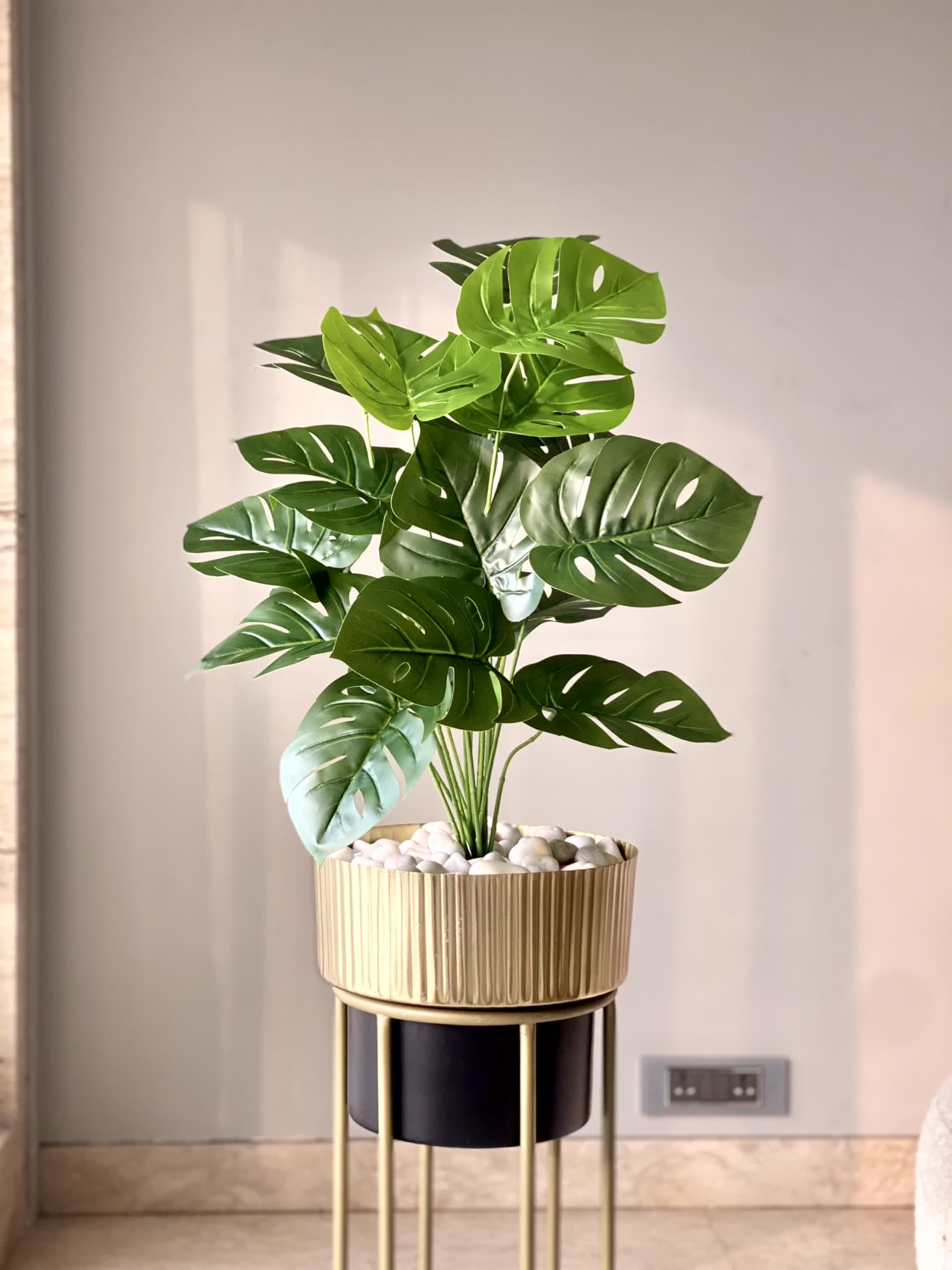 MASON HOME Artificial Botanic Monstera Plant - 2 Feet | Realistic Plant - Trees - Flowers | Indoor Tropical | Home - Shop - Office | Gifting - Décor - Ambience - Durable | No Maintenance