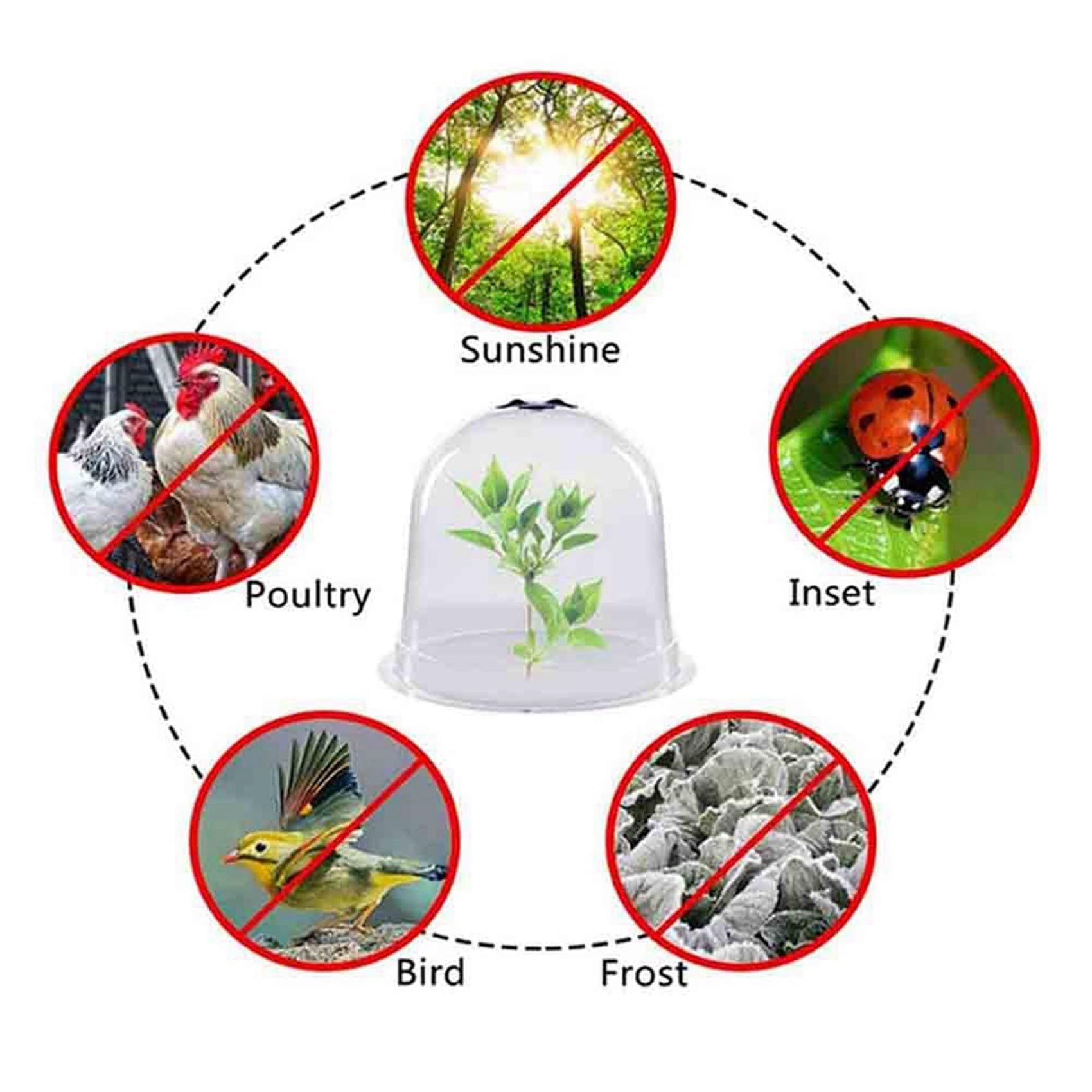 Lot de 12 cloches pour plantes de jardin, en plastique, cloches de culture, cloche de culture transparente, pour le réchauffement