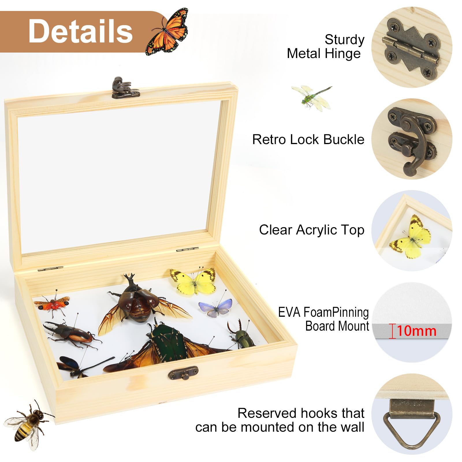Making Insect Specimen Tools Kit, (Insect Pins, Insect Shadow Box, Insect Pinning Board, Wings Pressing Paper, Tweezers - Image 3