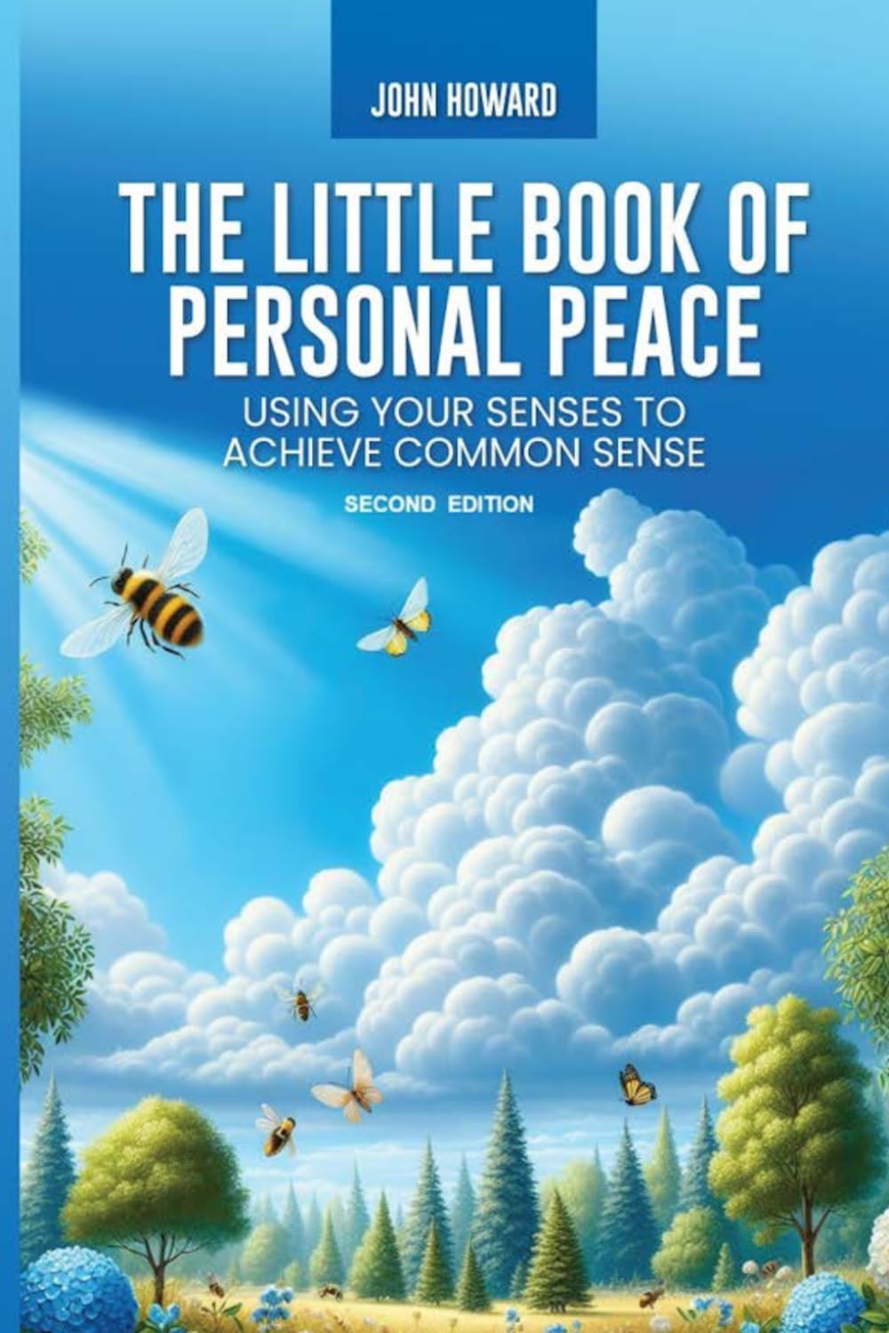 The Little Book of Personal Peace: Using Your Senses to Achieve Common Sense