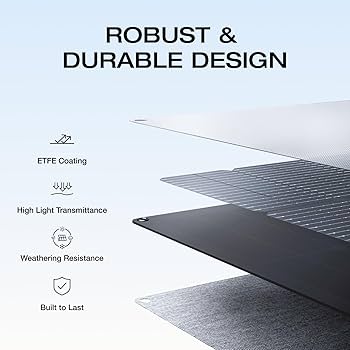 Amazon.com : EF ECOFLOW 220 Watt Portable Solar Panel, 25
