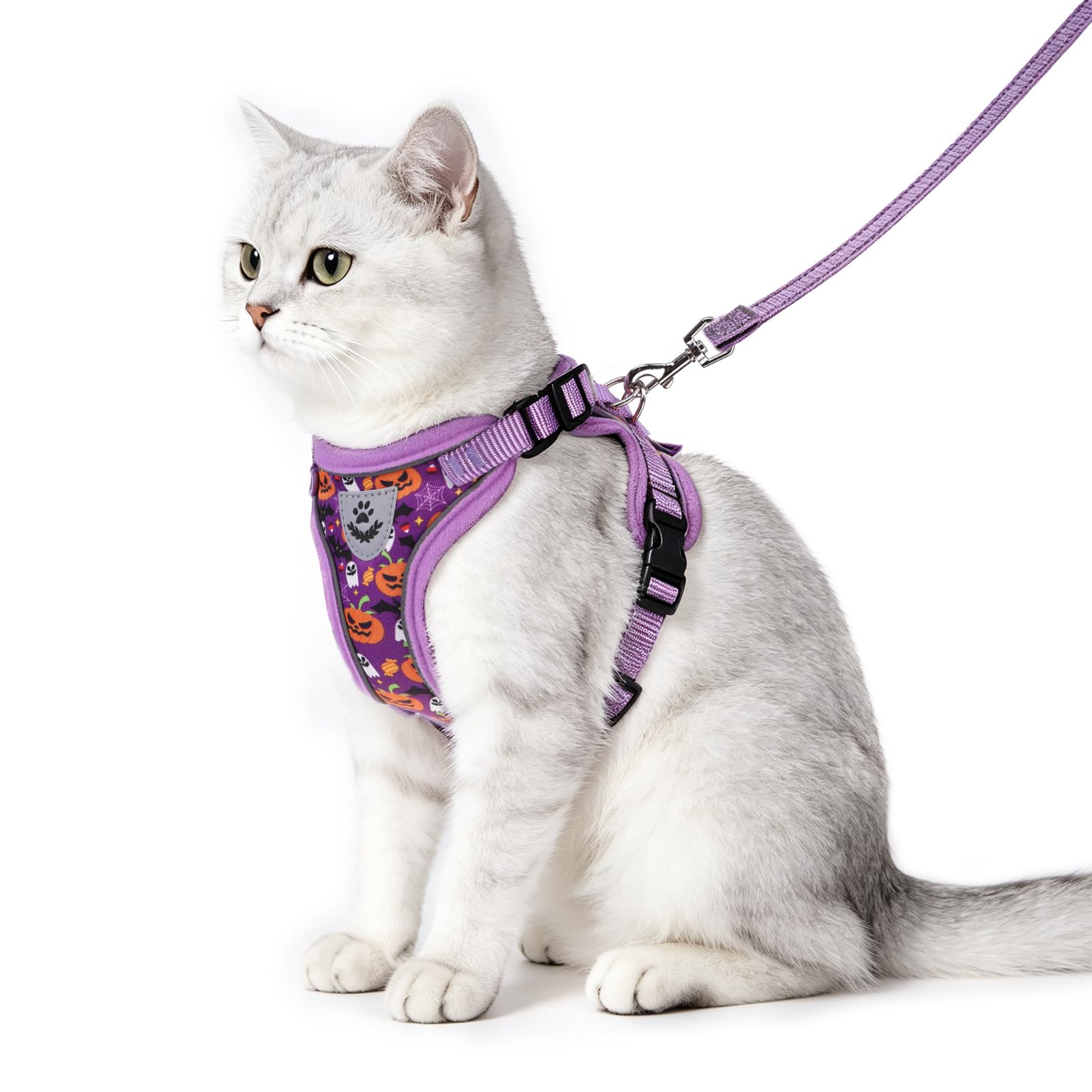 PUPTECK Halloween Cat Harness and Leash Set Escape Proof Reflective Cat Walking Harness Adjustable Soft Breathable Mesh Vest for Small Pets, Purple, S