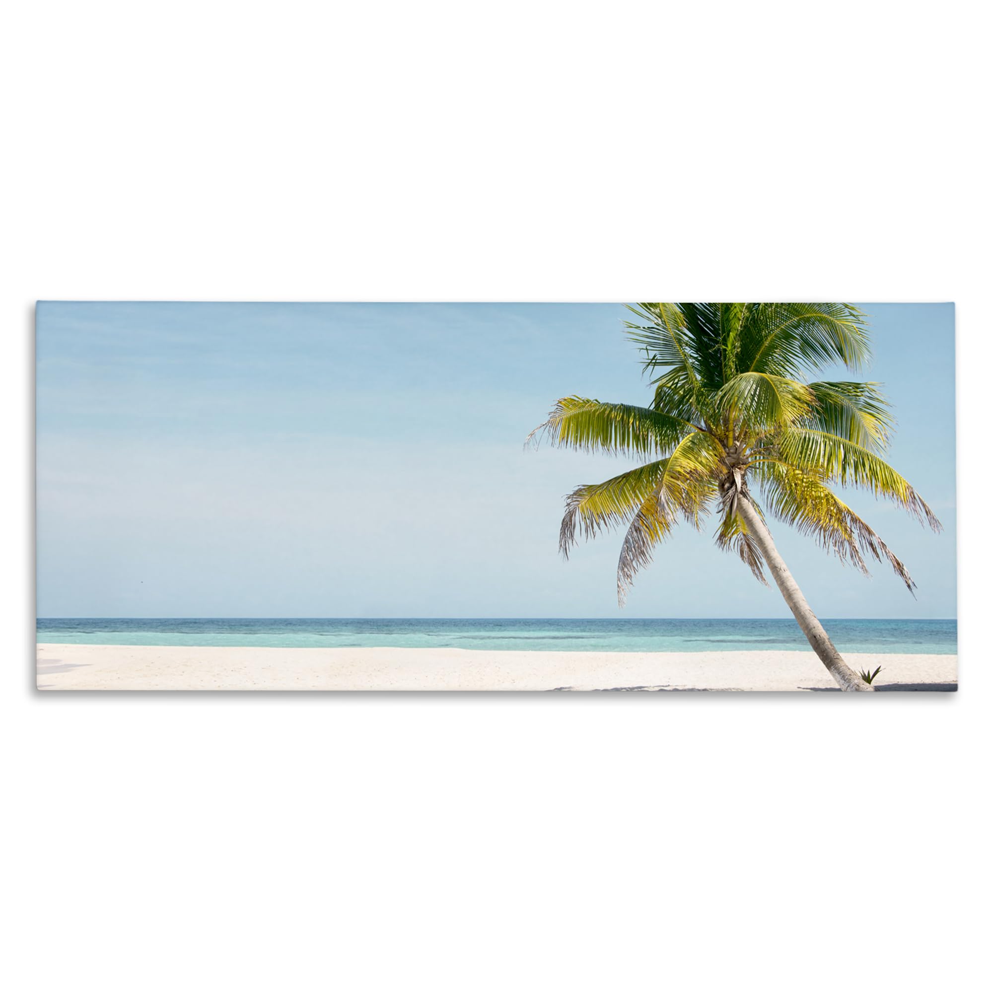 Stupell Industries Unframed 'Tropical Island Palm Tree'| Canvas Art