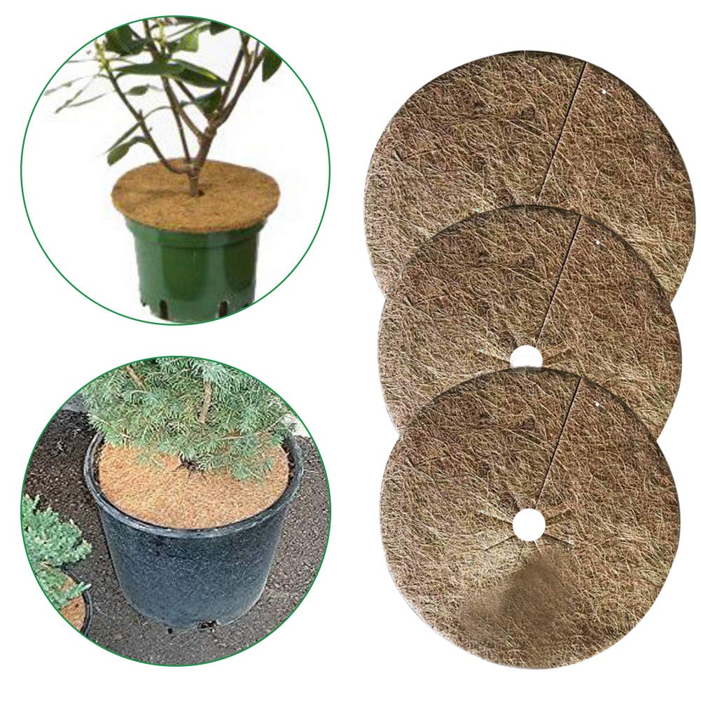 Kokos Mulchscheiben 10 Stück für Topfpflanzen – Frostschutz & Winterschutz Abdeckung, 40 cm Kokosmatten Pflanzenschutz für Garten, Winter Kokos Kübelabdeckung