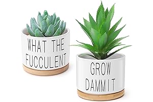 Pair of Funny Succulent Pots
