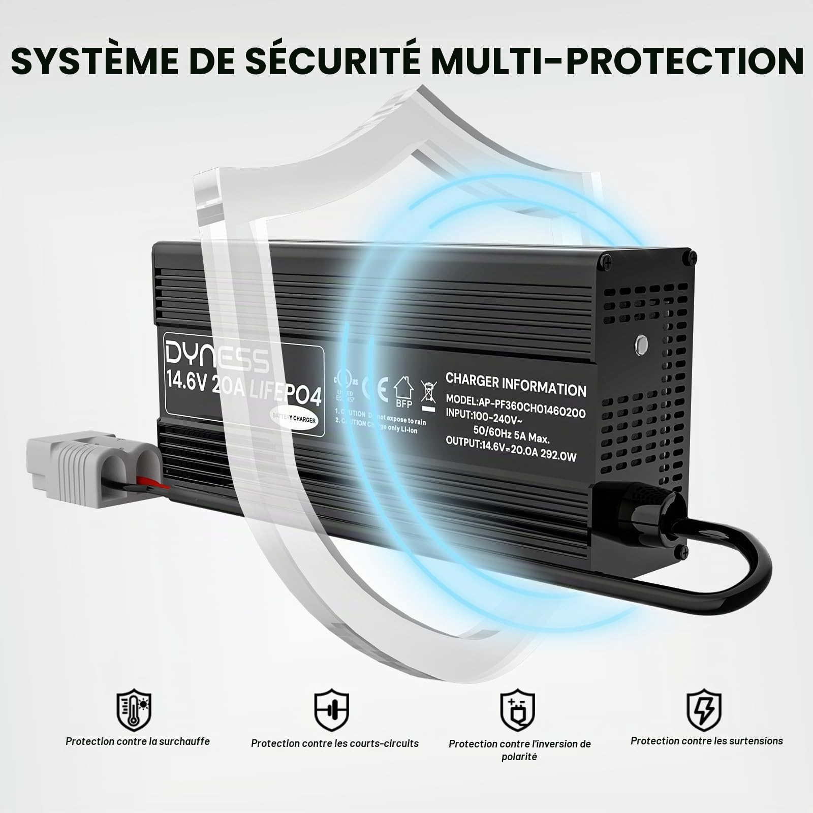 Dyness Chargeur de Batterie LiFePO4 14,6V 20 A pour 12V LiFePO4