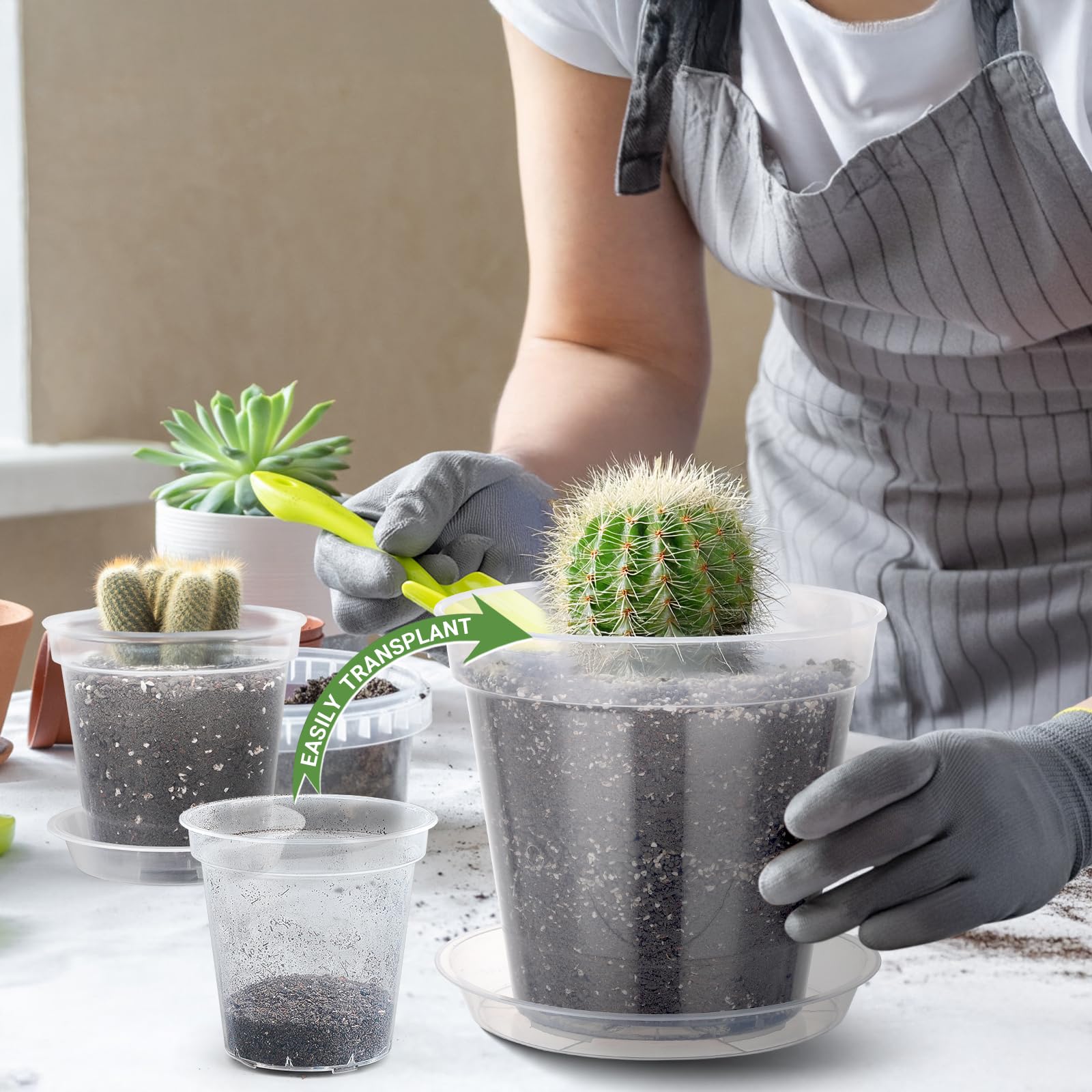 GREANER Lot de 24 pots de fleurs transparents de 15,2 / 20,4 / 25,4 cm - En plastique transparent - Avec ventouses pour plantes - Pour intérieur et extérieur