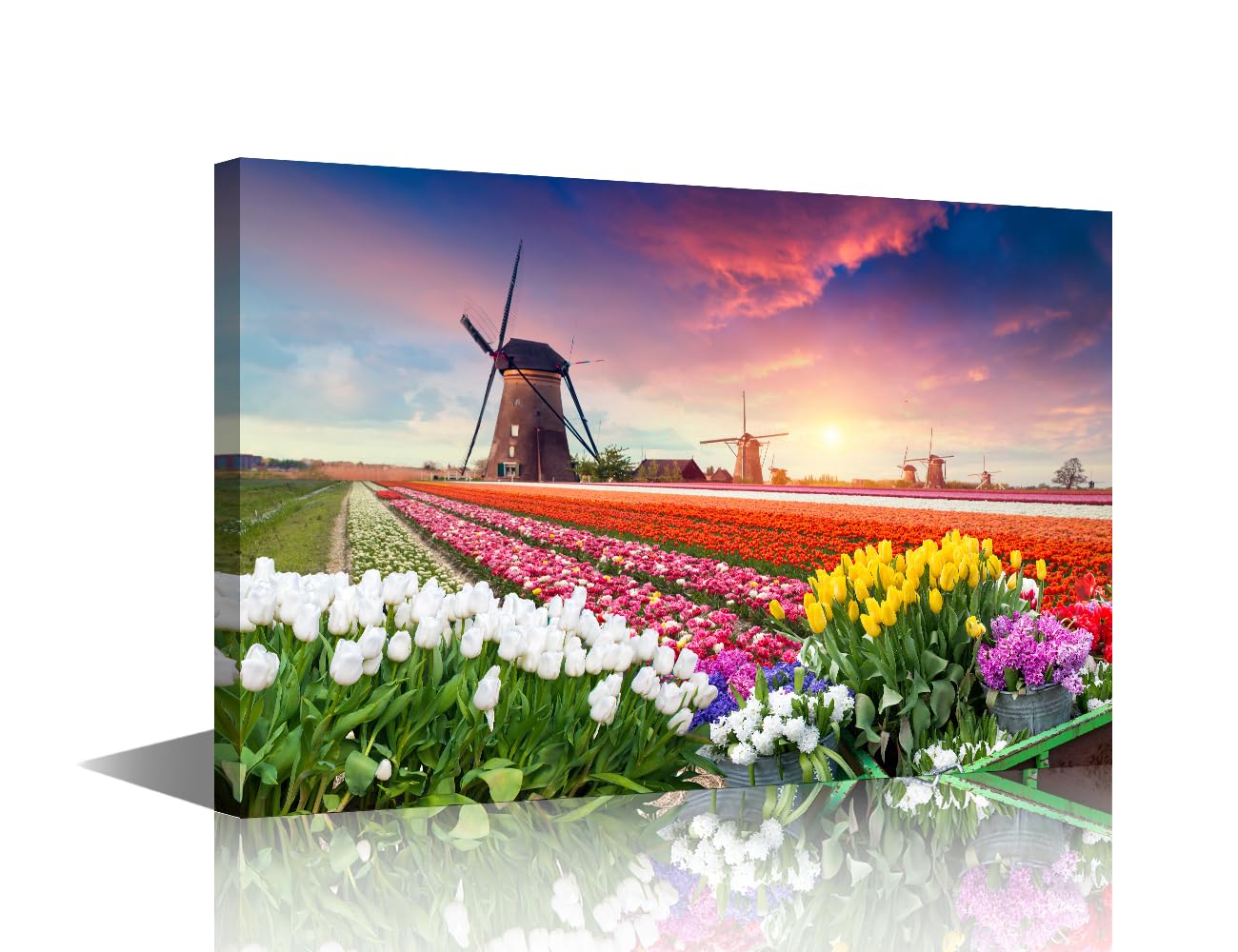 Canvas Wall Art Set 1 Panel Dramatic Spring Scene on the Tulip Farm, Europe Pictures Print on Canvas for Home Hotel Office Wall Decorative, Wooden Framed Ready to Hang, 36" Wx24 H