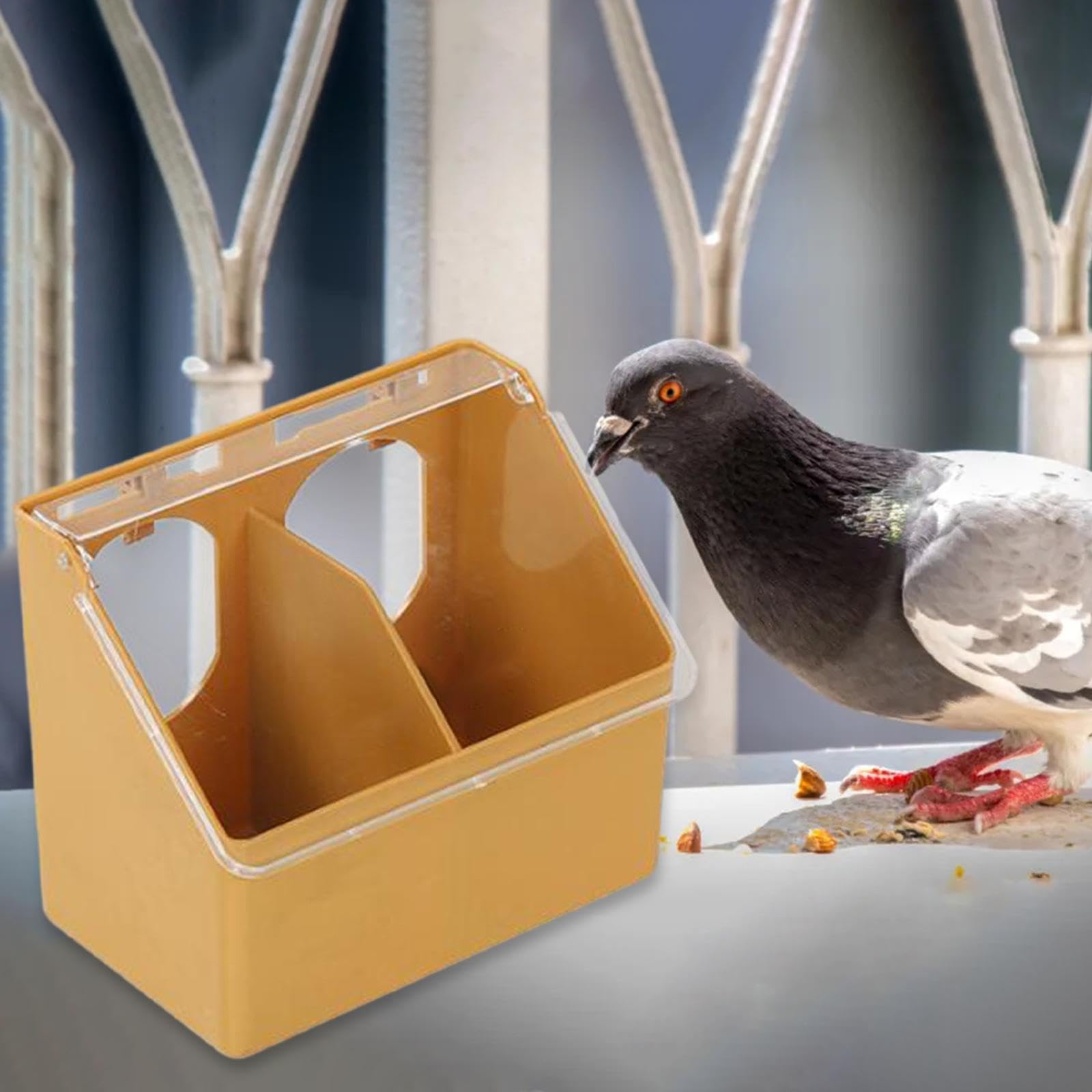 Amazon | Qianly 鳩の鳥の餌を与える鳩の巣箱用鳩の餌箱鳩ペアリング