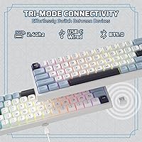 Vista 4 de LTC Nimbleback NB682 PRO - Teclado mecánico inalámbrico 65% con pantalla y perilla, 2.4 GBTUSB-C con cable RGB 68 teclas, amortiguador de 5 capas